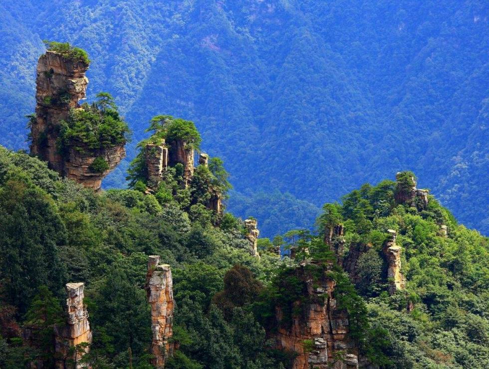 张家界自驾游最值得去的4个景点攻略汇集,张家界自驾游去哪儿好玩推荐