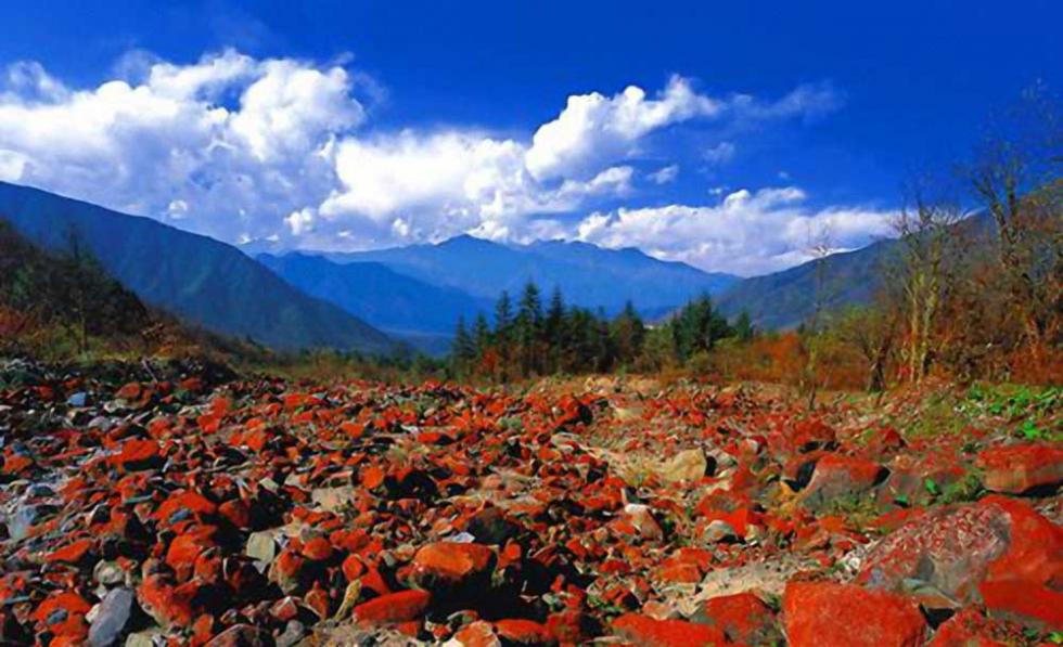 一天玩遍12个成都红叶地自驾游景点攻略,成都周边一日