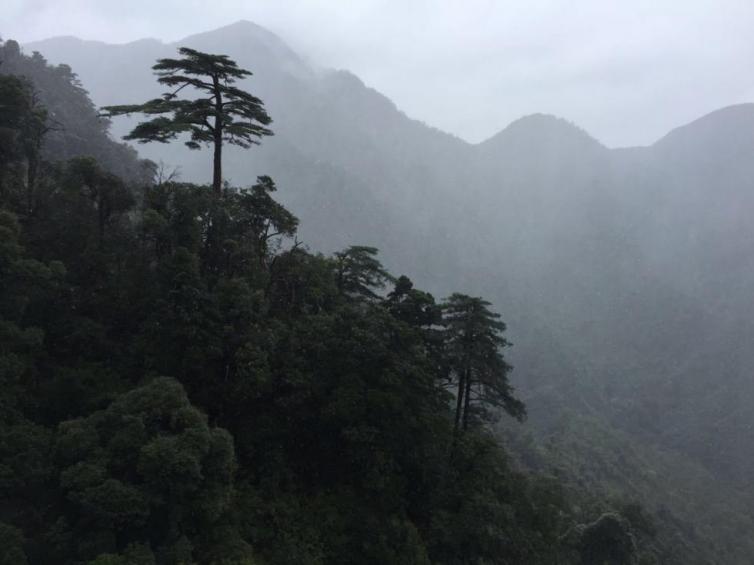 端午节湖南自驾游景点线路推荐,湖南周边端午