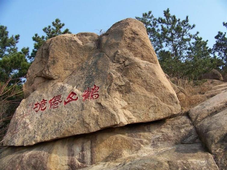 青岛城阳世纪公园(奥林匹克雕塑公园)是城阳区区委、区政府为贯彻可持续发展思想,实现把城阳区建设为园林式生态城市的目标而建设的一处以植物观赏、名花展示、开展植物绿色文化科普教育为主要功能的观光游憩公园。公园建设历时两年,总投资约1.5亿元;共占地43万平方米(645亩),其中绿地29.