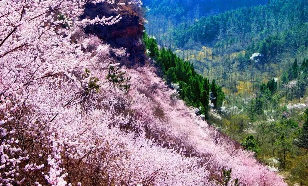 河南出发3日自驾南太行：万仙山-王莽岭-天界山-陈家园3日自驾挂壁公路自驾游