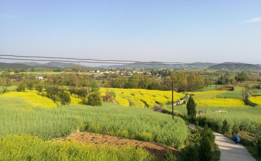 西安出发汉中2日自驾路书：汉中油菜花海-红寺湖-勉县武侯祠-石门栈道2日汉中自驾游