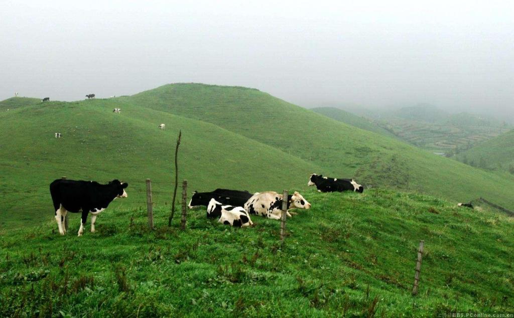 长沙出发邵阳两日自驾路书：邵阳南山牧场2日自驾游，梦回草原放马南山