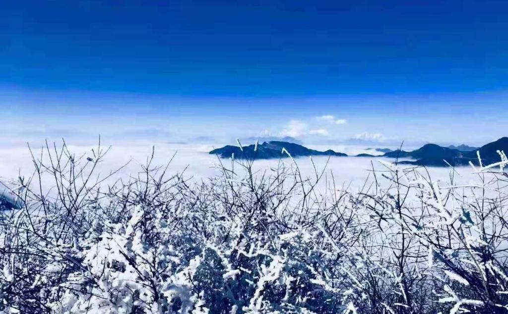 成都出发雅安3日自驾：轿顶山看云海-草科温泉-巴旺海徒步洗肺3日自驾