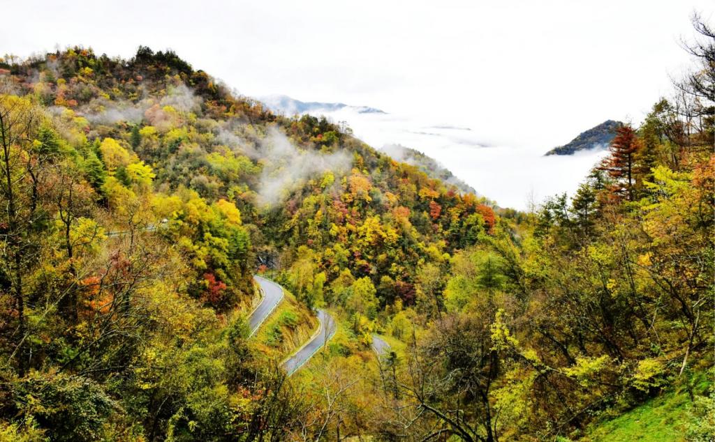 重庆出发穿越大巴山4日自驾路书：大巴山秘境-打卡绝壁天路兰英大峡谷-城口亢谷-大宁河峡谷4日游