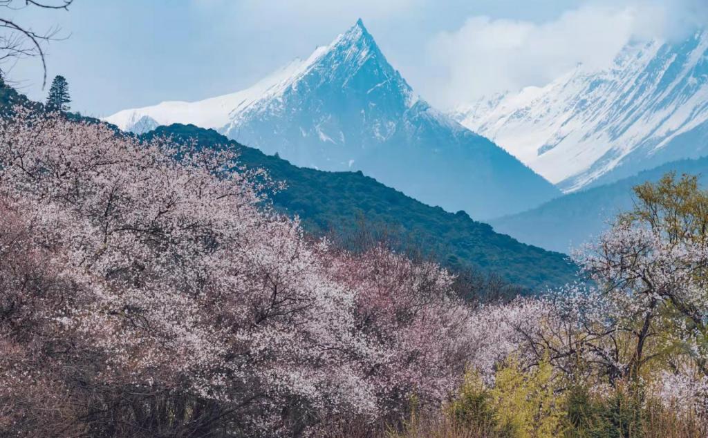 全国出发西藏林芝桃花节16日自驾路书：林芝桃花-秘境墨脱-国民公路G318-拉萨-青藏线16日自驾游