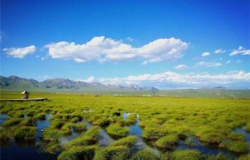 8月自驾游路线推荐