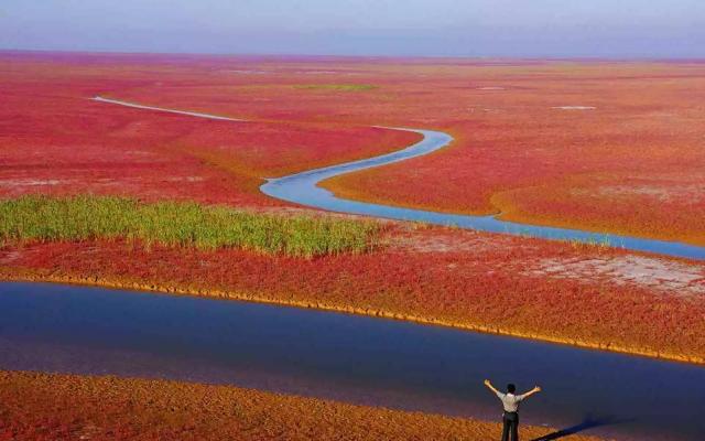 济南周边自驾游：黄河入海口-东营红地毯-冬枣采摘2日周末体验活动