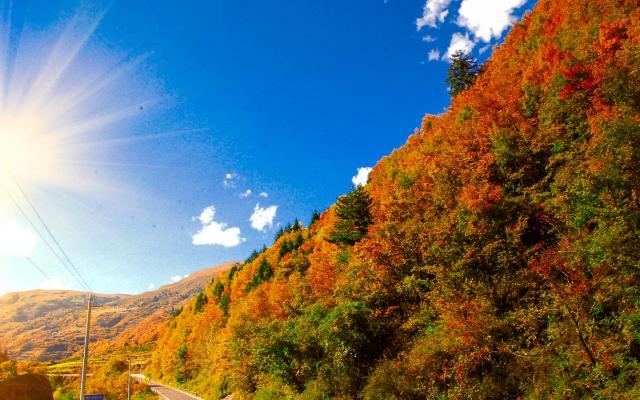 成都周边2日秋季赏红叶自驾游：奶子沟-八十里彩林风情谷-卡龙沟2日自驾游
