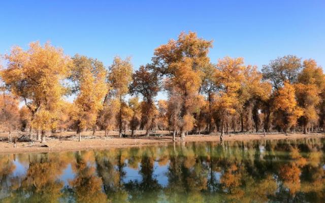 武汉出发乌鲁木齐集合南疆10日落地自驾游：穿越沙漠公路-胡杨林公园-享新疆美食-游老城的大街小巷10