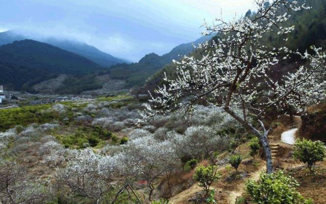 周末中山周边自驾游：增城品盆菜-从化石门森林公园赏枫叶-溪头村寻梅2天自驾