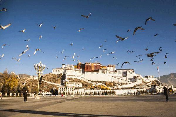 成都出发西藏15日自驾游:稻城亚丁-布达拉宫-茶卡盐湖西藏15日自驾游