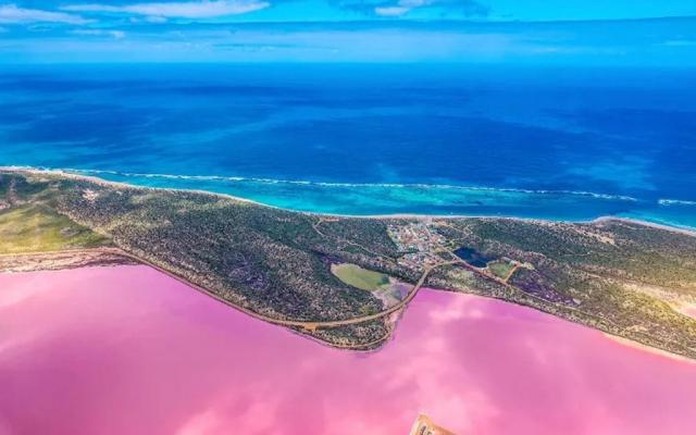 澳大利亚9日落地自驾：天鹅谷-粉红湖-哈梅林湾-卡尔巴里国家公园-鲨鱼湾9日自驾游（含机票）