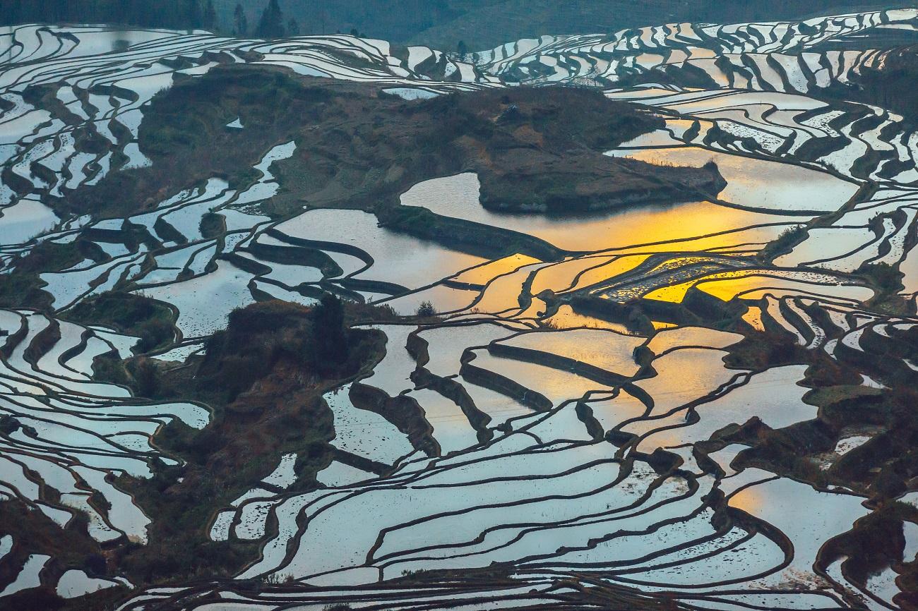 美国东西海岸16日落地自驾游：洛杉矶-旧金山-1号公路-拉斯维加斯-黄石公园16日自驾