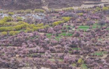 北京出发西藏26日自驾游：赏桃花-秘境墨脱-珠峰-羊卓雍措-纳木错26日自驾游-大自驾