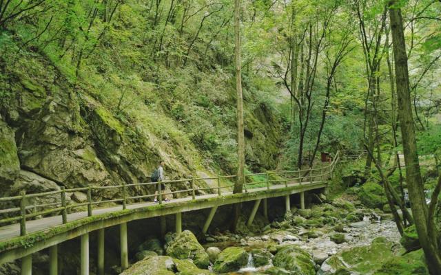 宁夏银川出发4日自驾：牛背梁、柞水溶洞、陈炉古镇、终南山寨、袁家村4日自驾游