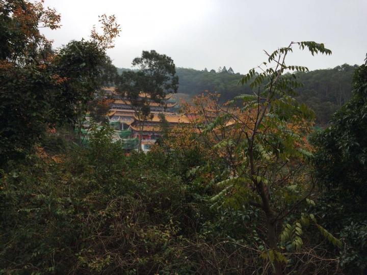 虎门石洞森林公园离大岭山很近,北邻厚街,南接虎门
