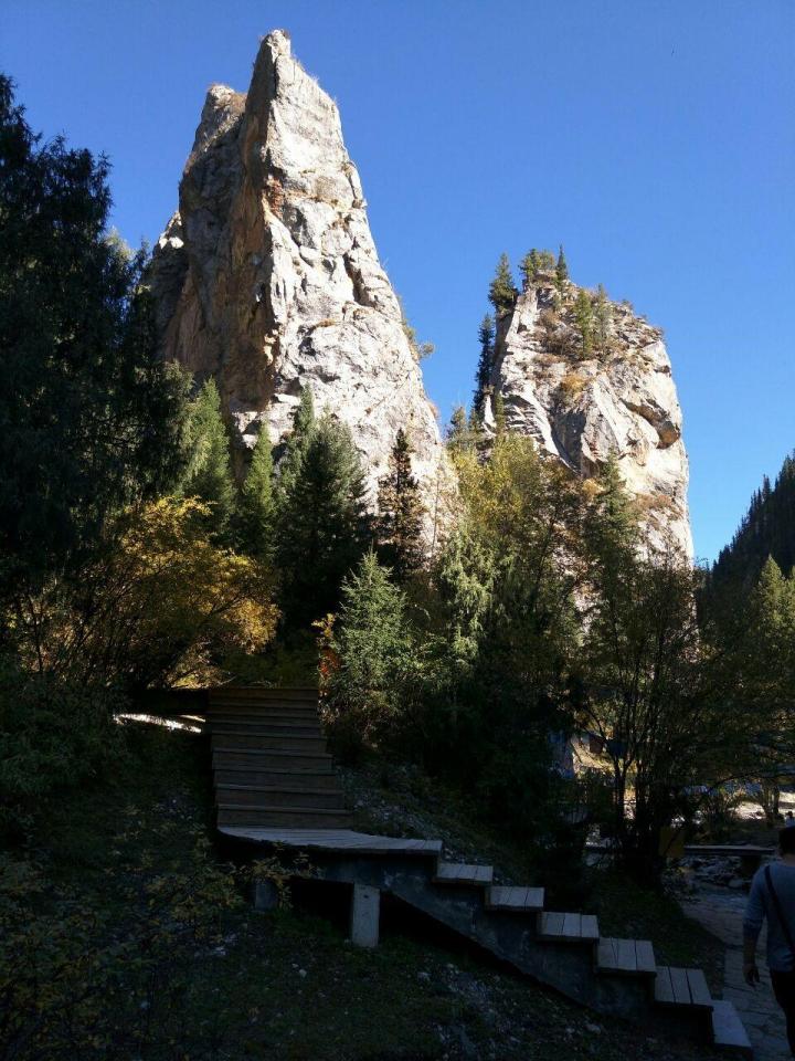 碌曲则岔石林旅游景区以石杰岩地貌为主,是我国少有的一处集森林-甘南